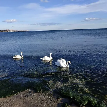 студия в жилом комплексе эстебан Nesebar